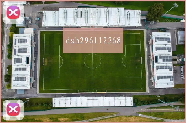 dsh296112368