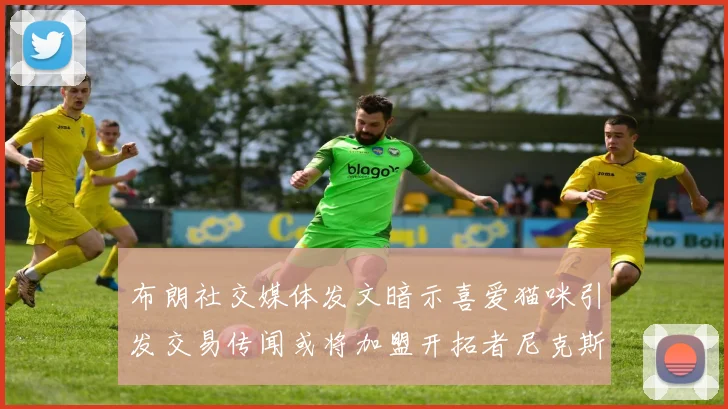 布朗社交媒体发文暗示喜爱猫咪引发交易传闻或将加盟开拓者尼克斯雷霆湖人