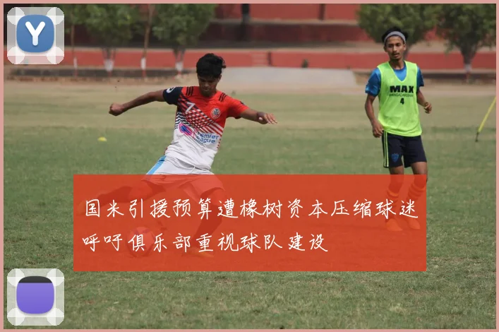 国米引援预算遭橡树资本压缩球迷呼吁俱乐部重视球队建设