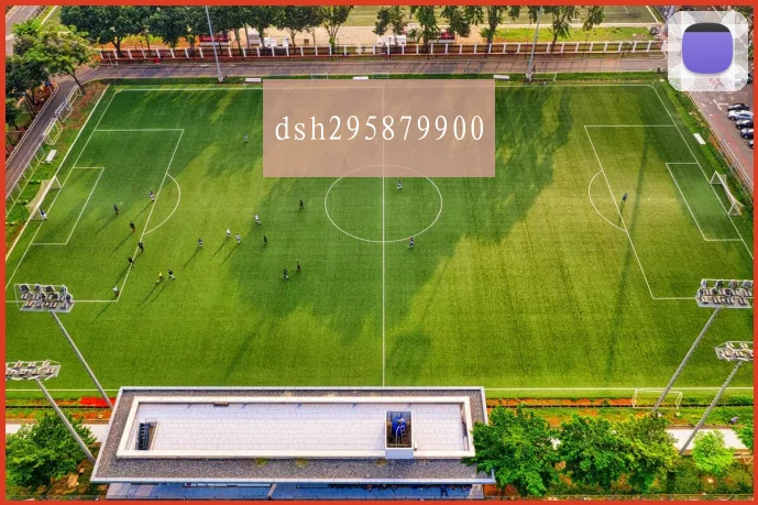dsh295879900