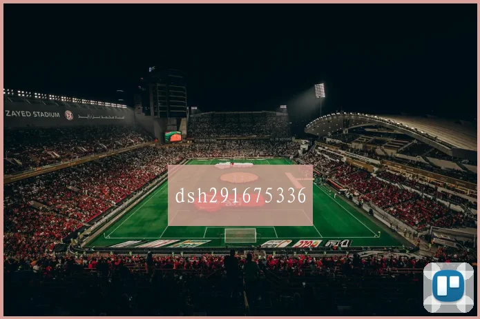 dsh291675336