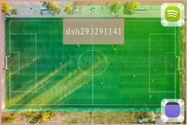 dsh293291141
