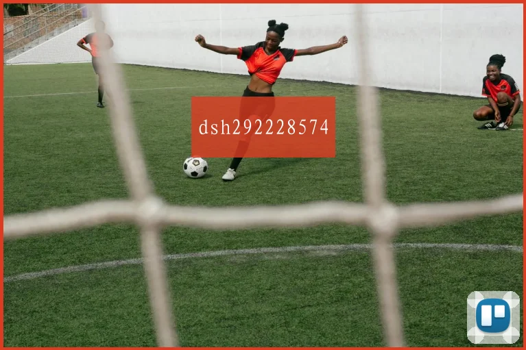 dsh292228574